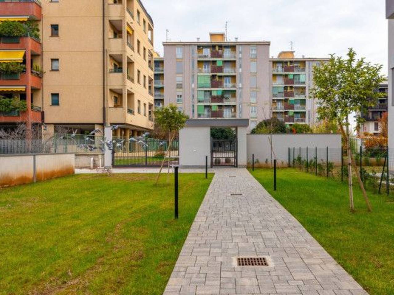 immagine annuncio 6 di 15