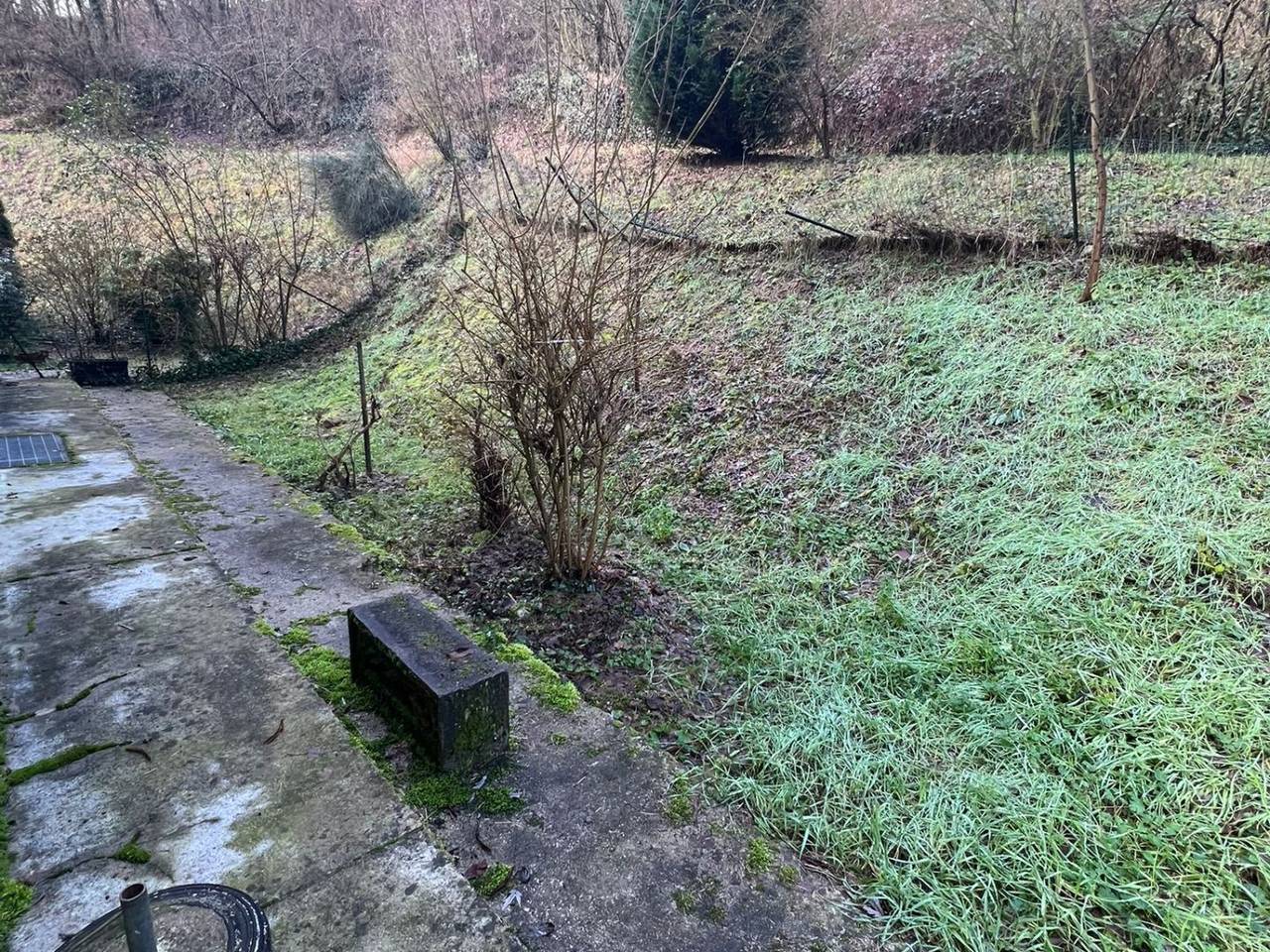 immagine annuncio 4 di 14