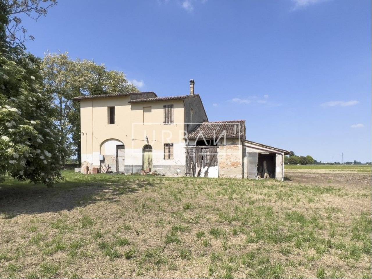 immagine annuncio 1 di 8