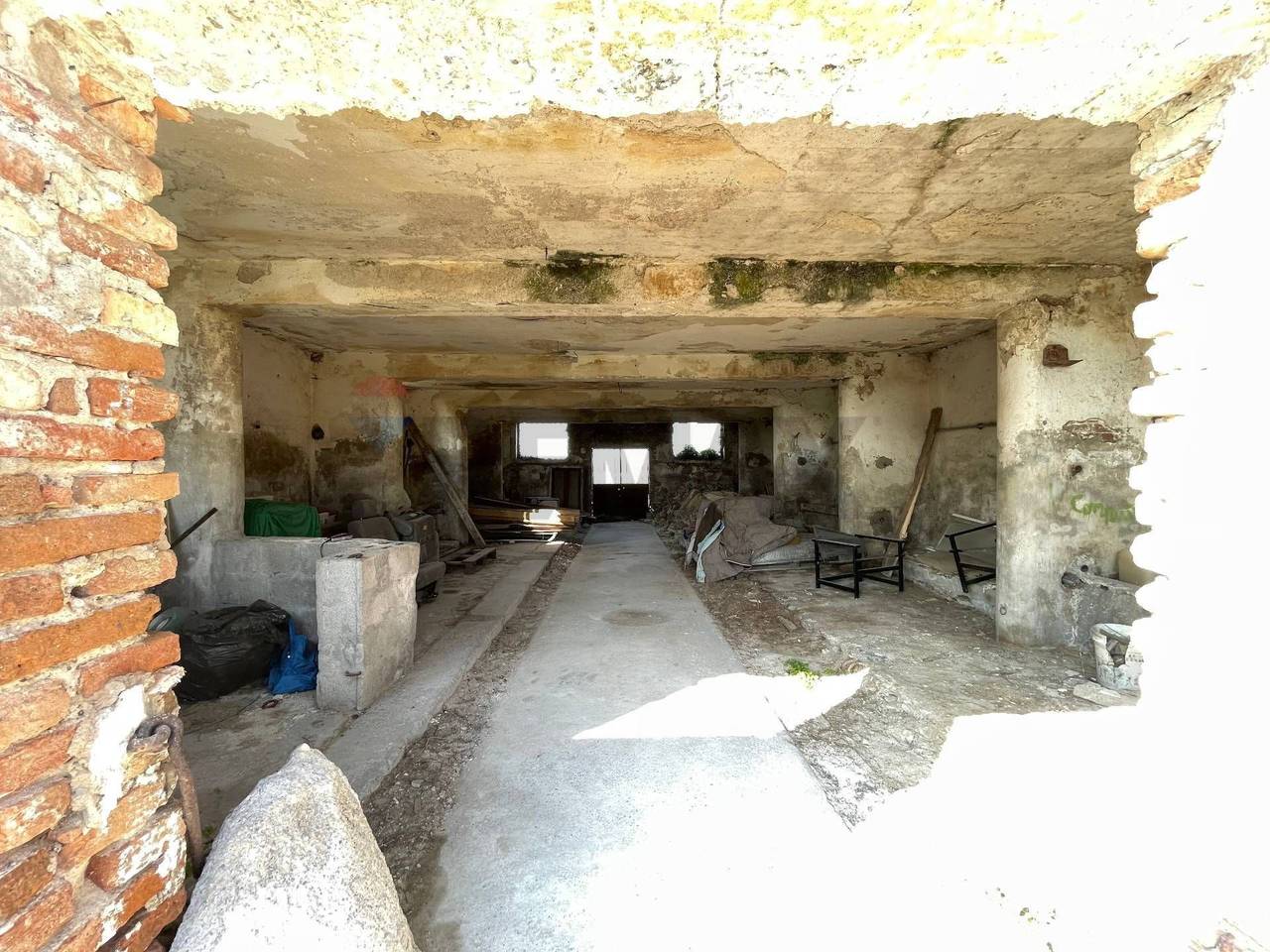 immagine annuncio 12 di 14