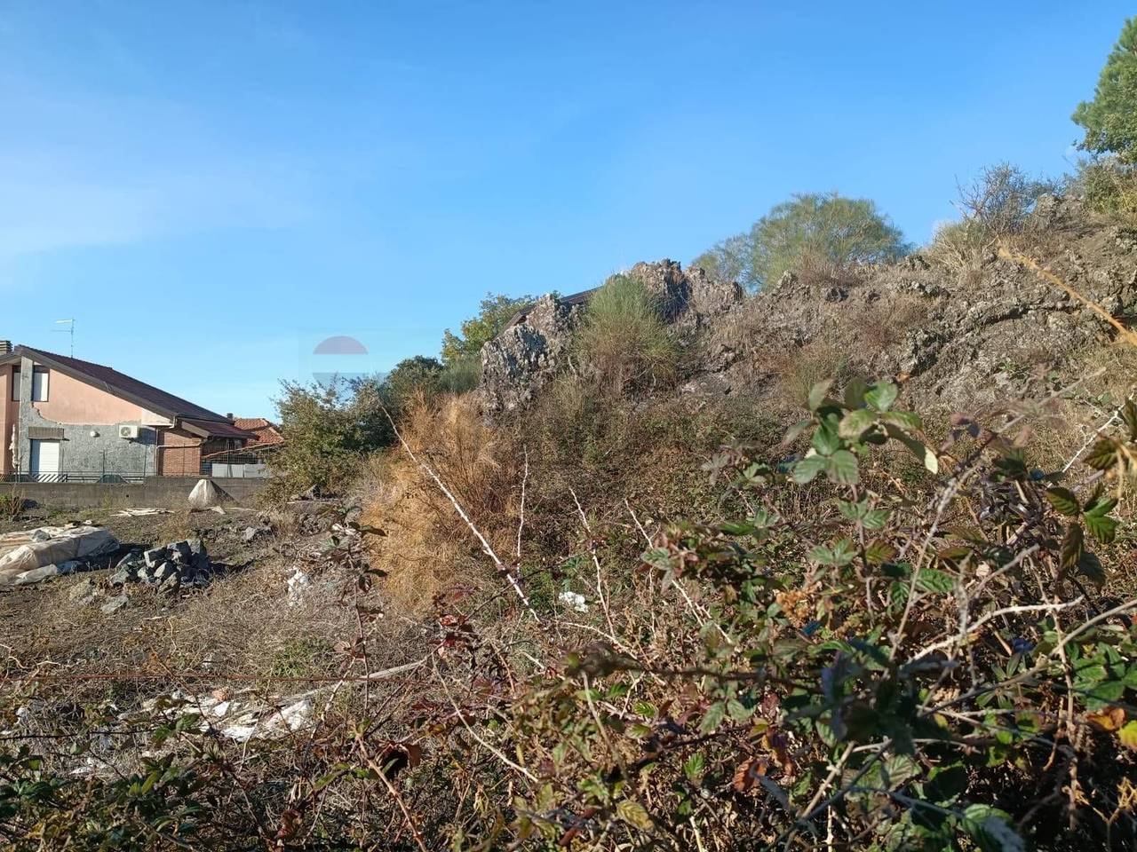 immagine annuncio 5 di 7