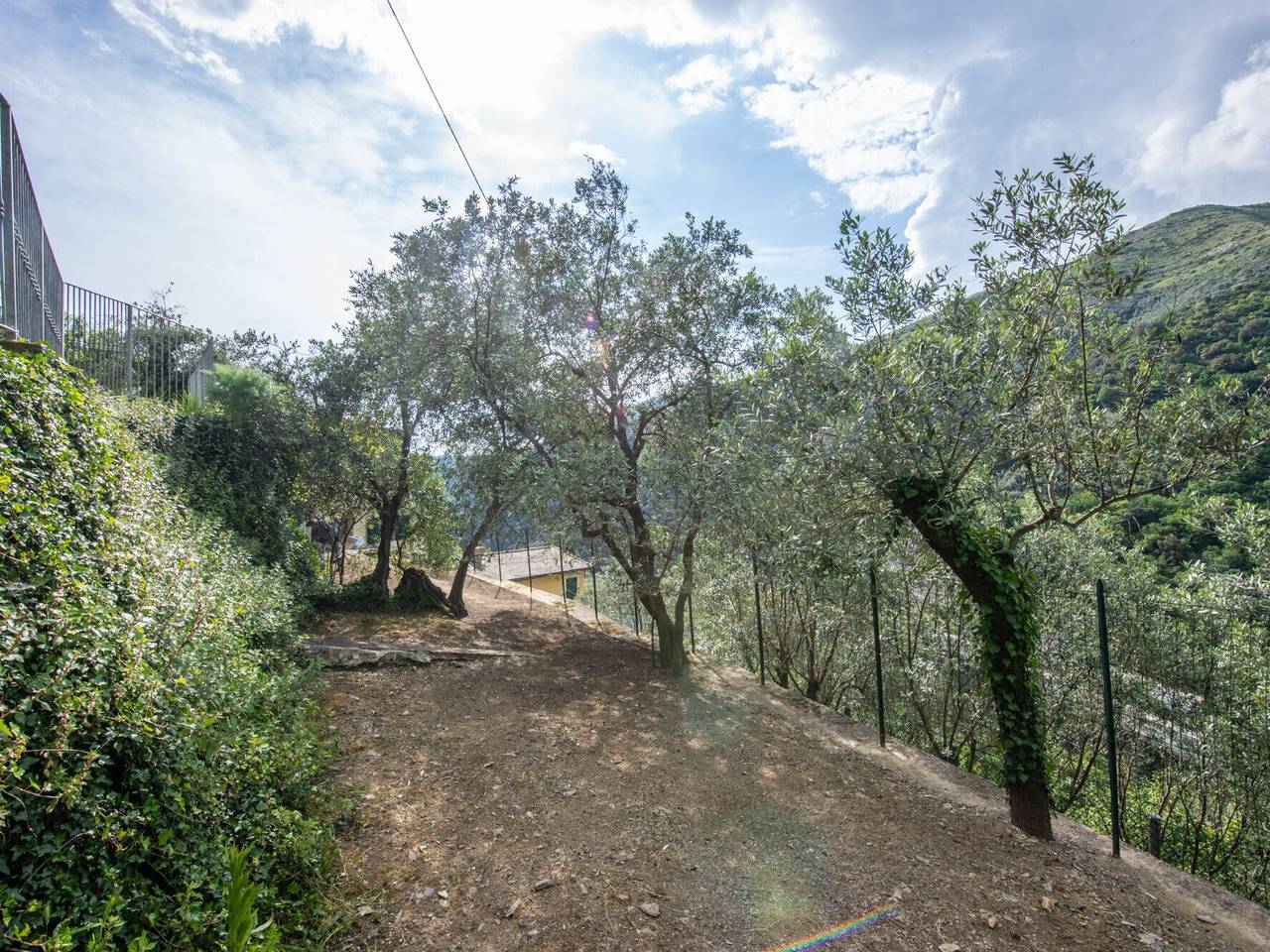 immagine annuncio 13 di 15