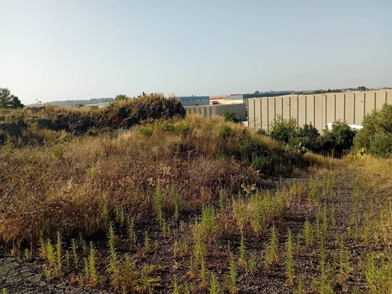 immagine annuncio 6 di 8