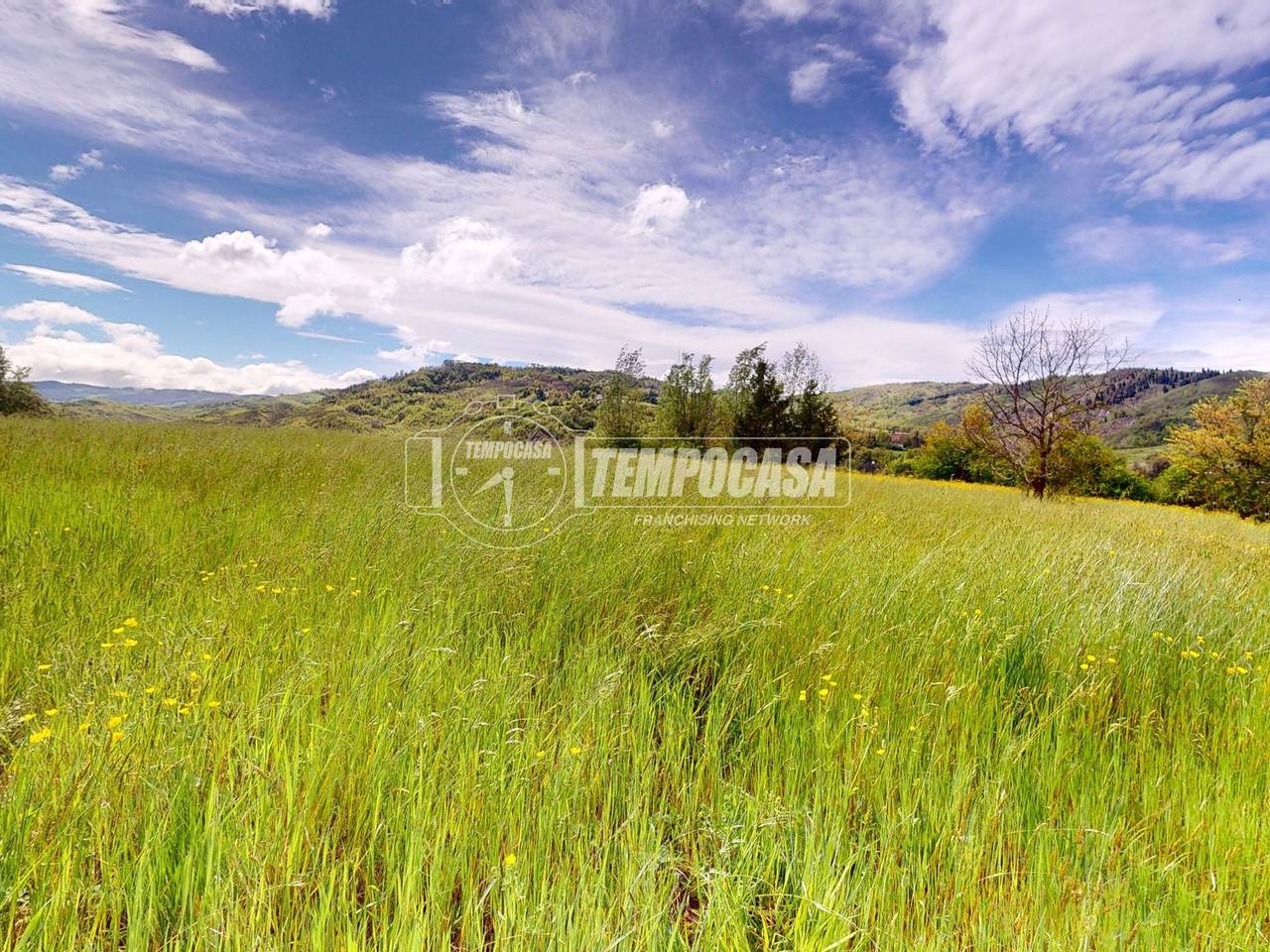 immagine annuncio 9 di 12