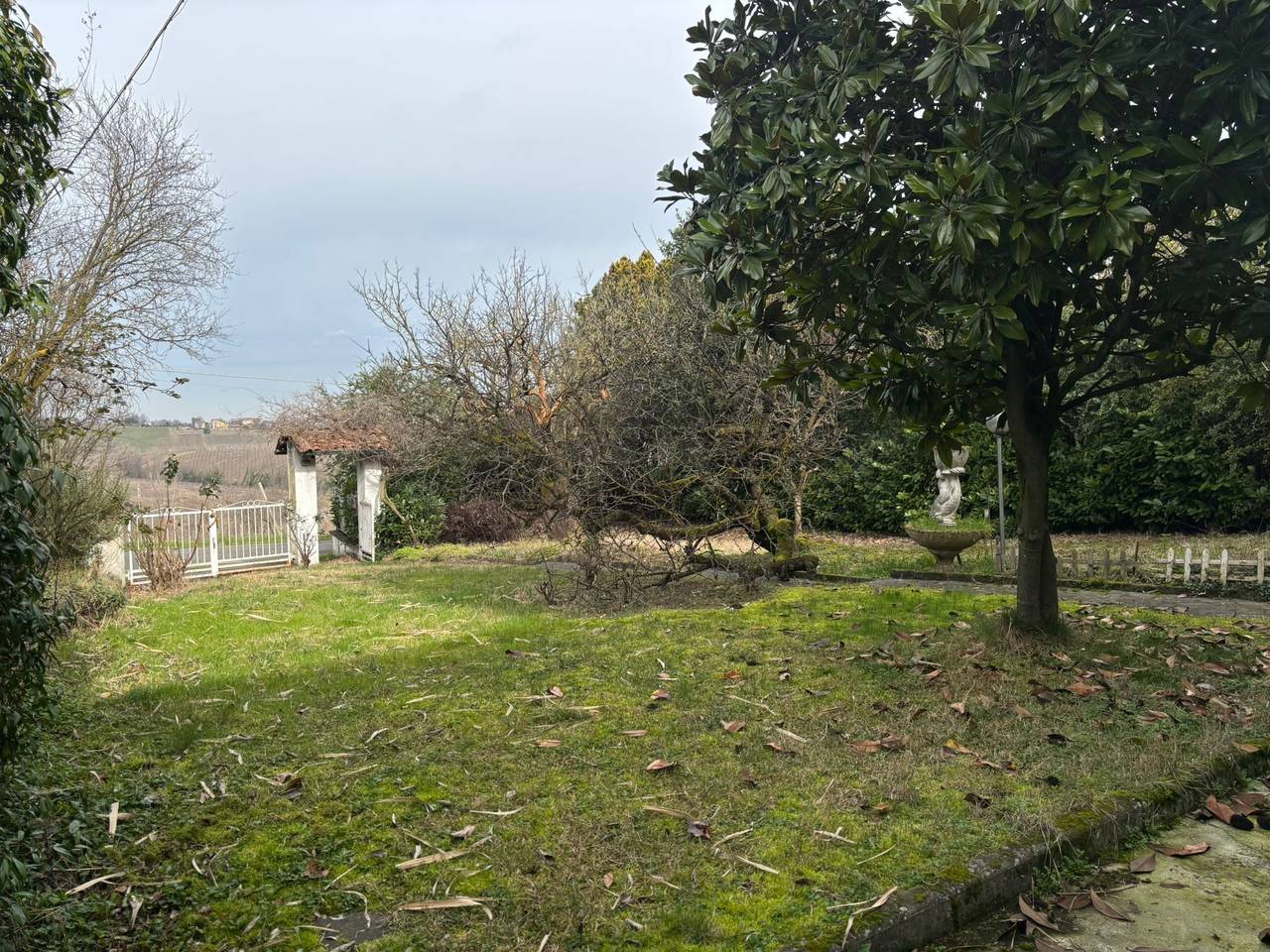 immagine annuncio 7 di 11