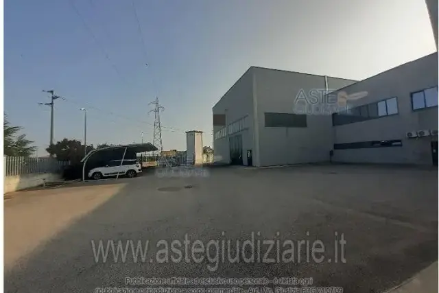 insertion image