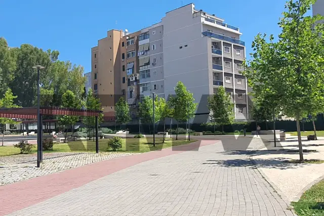 insertion image