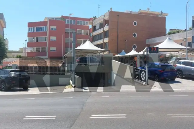 insertion image