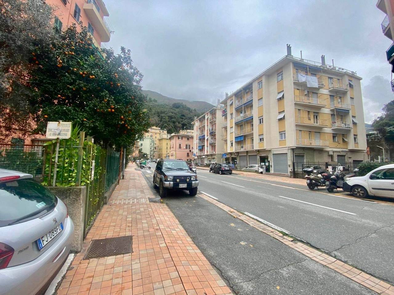 immagine annuncio 10 di 12