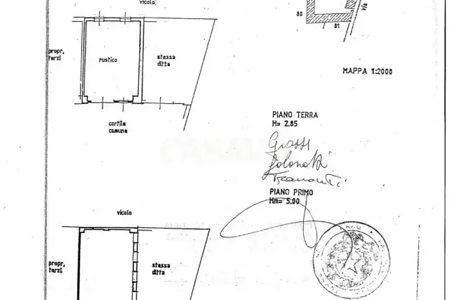insertion image