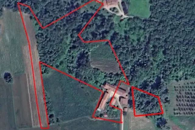 insertion image