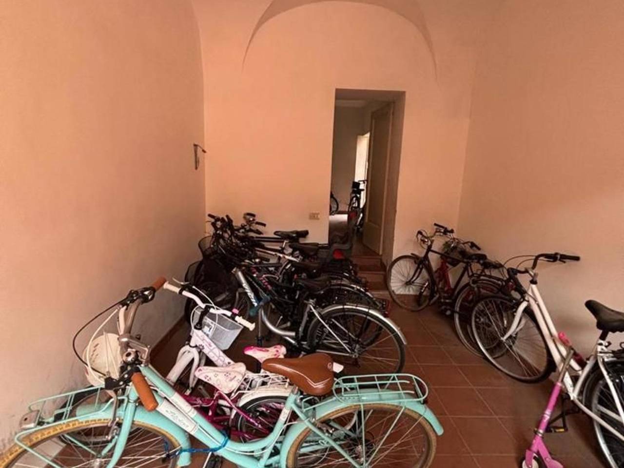 immagine annuncio 6 di 14