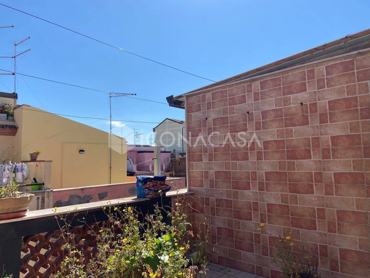 immagine annuncio 2 di 13