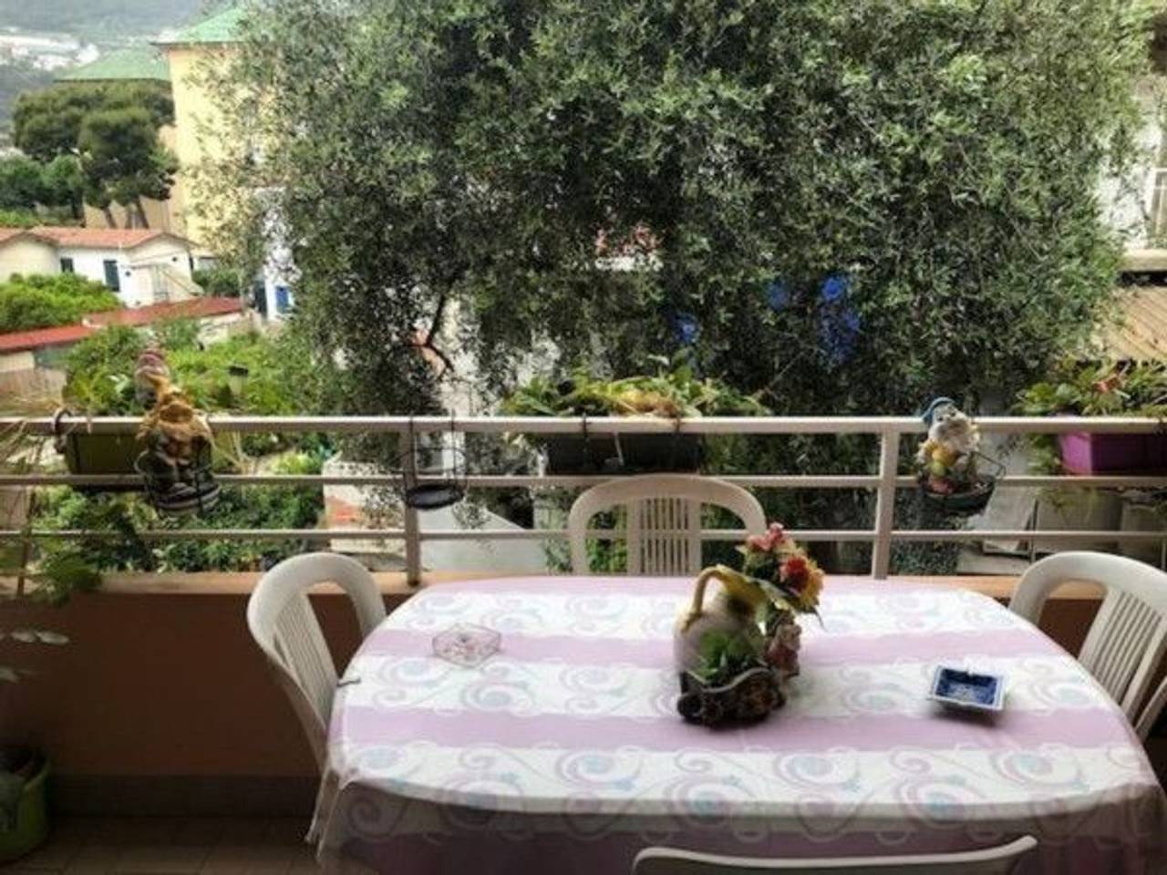 immagine annuncio 5 di 12