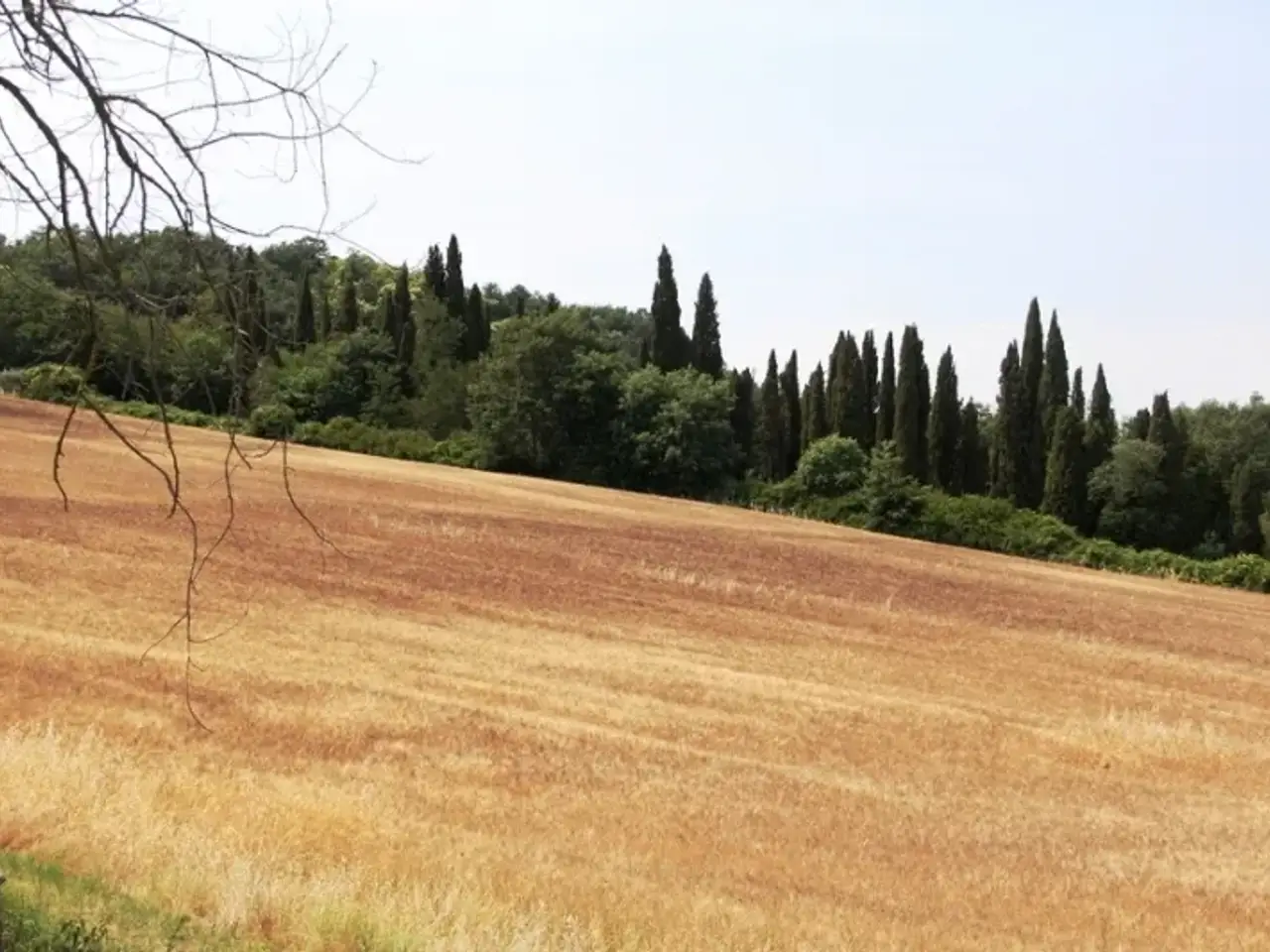 Agriturismo in , Castel Viscardo, {3} - Foto 2
