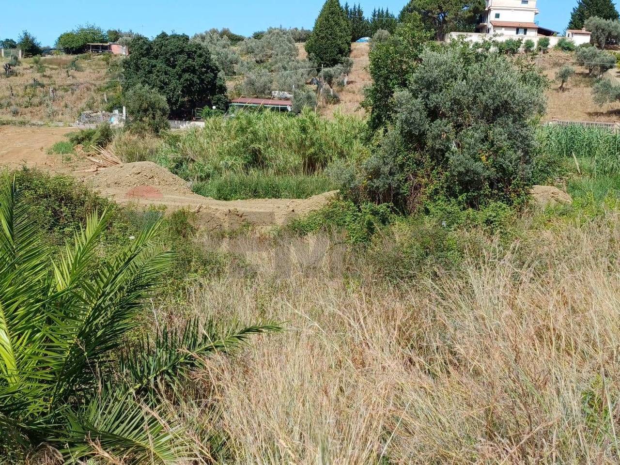 immagine annuncio 3 di 8