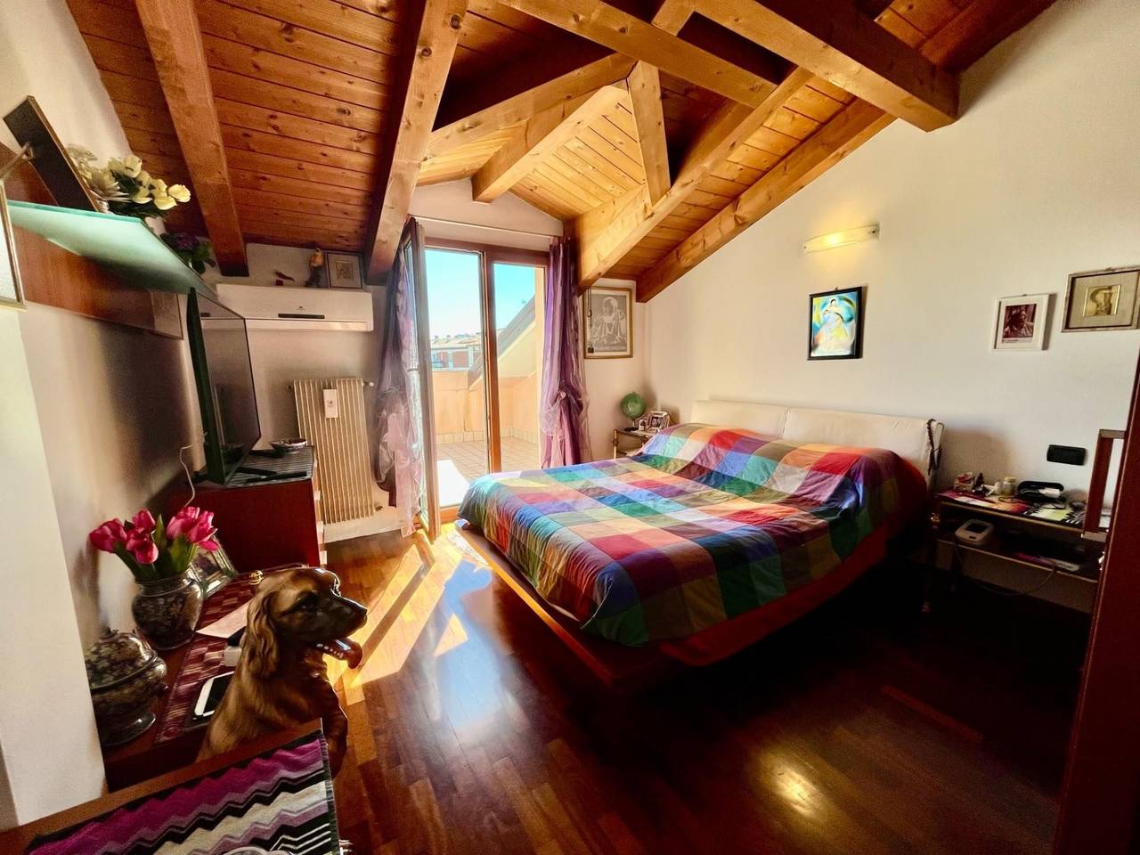 immagine annuncio 10 di 15