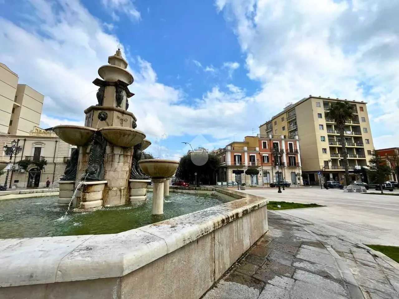 Negozio in Viale Giacomo Matteotti 00, San Severo, {3} - Foto 1