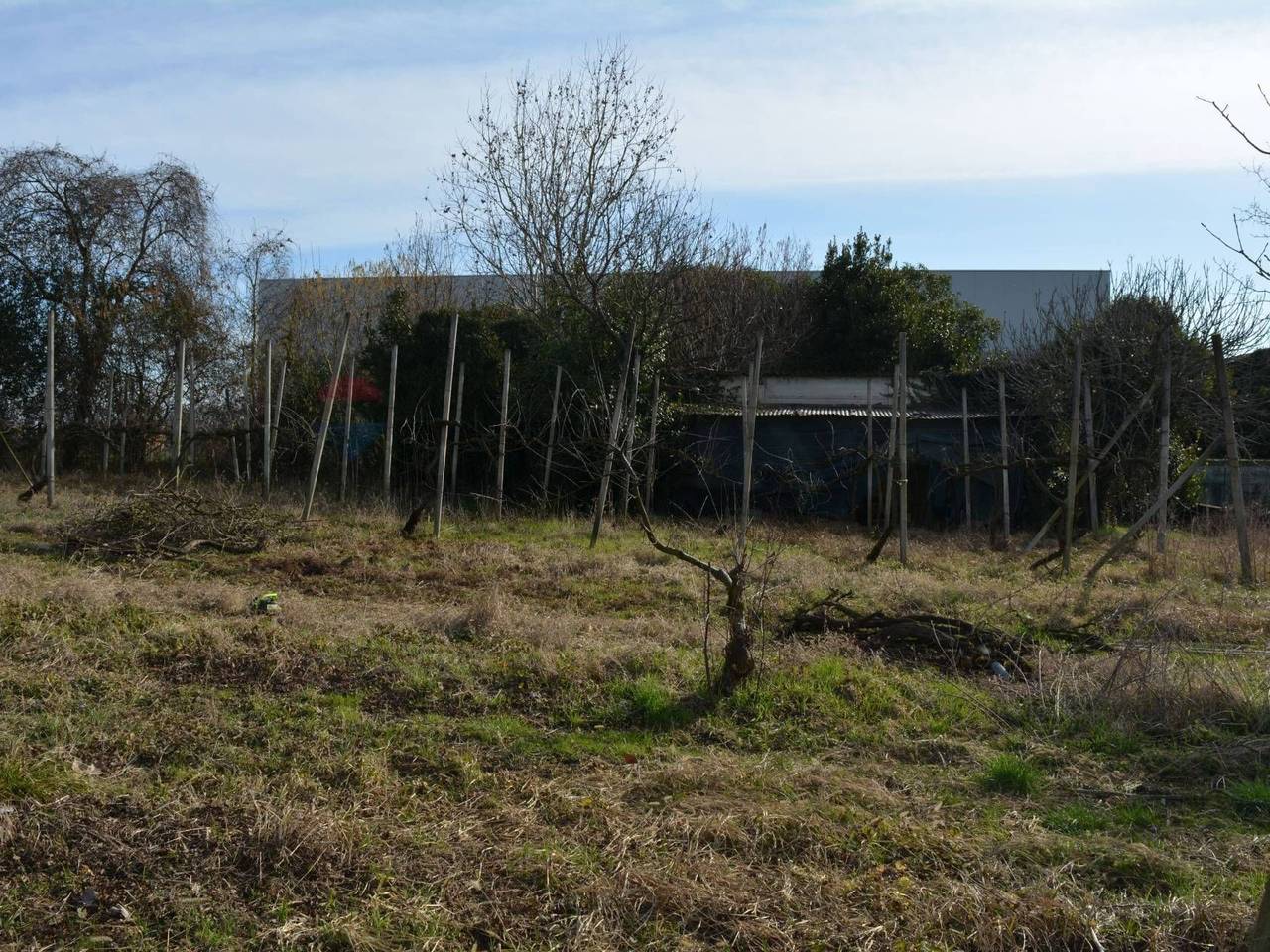 immagine annuncio 2 di 14