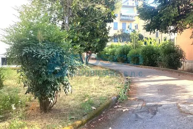 insertion image