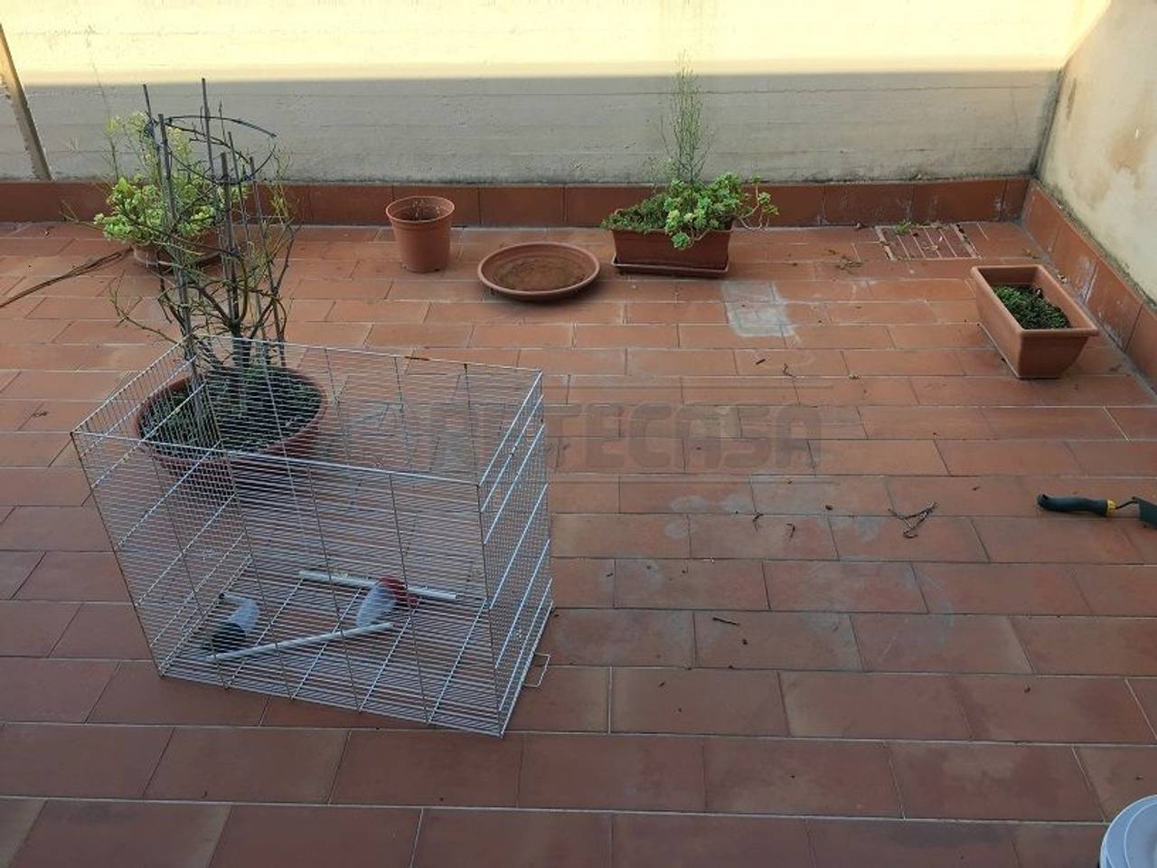 immagine annuncio 9 di 14