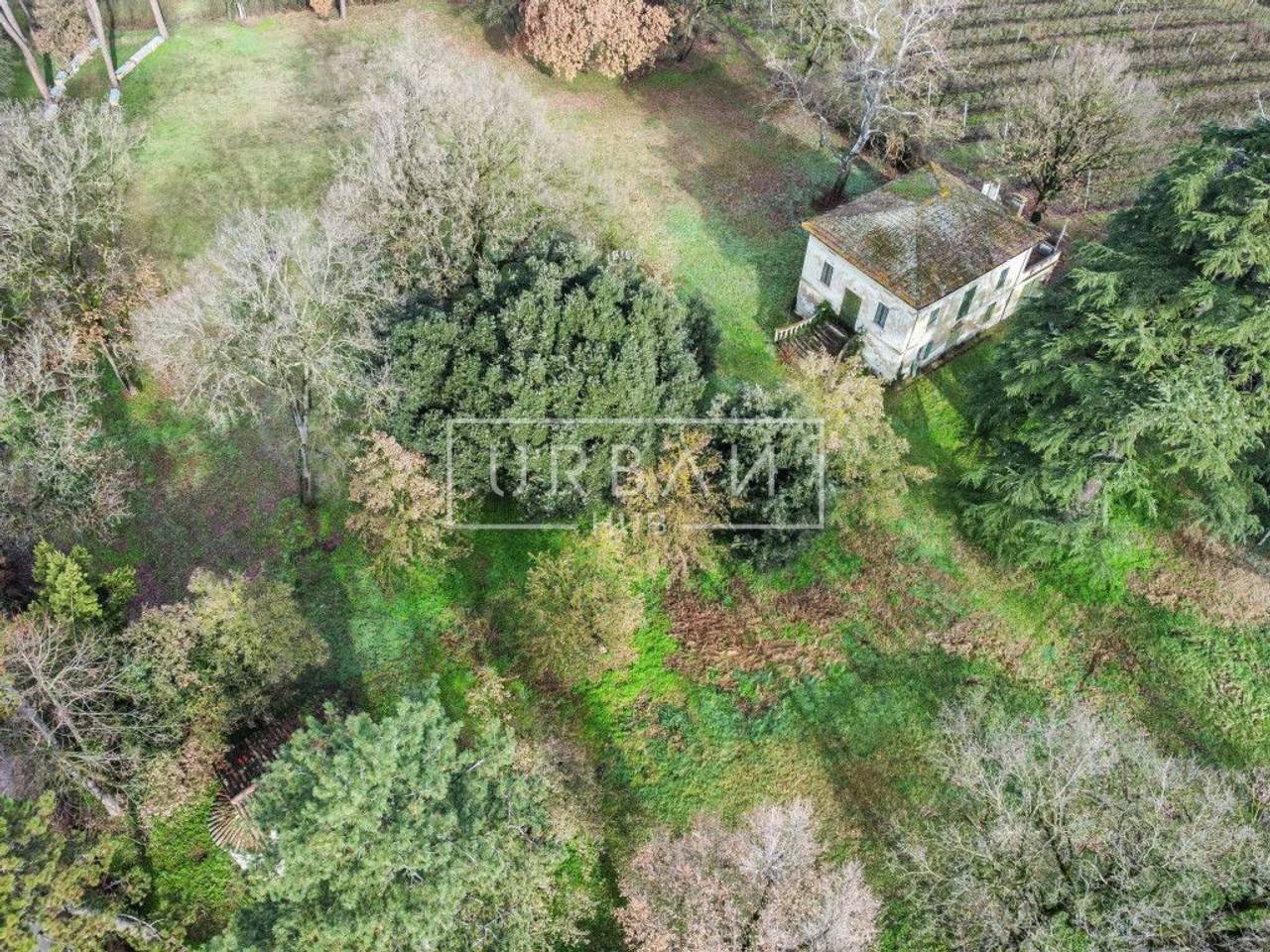 immagine annuncio 8 di 12