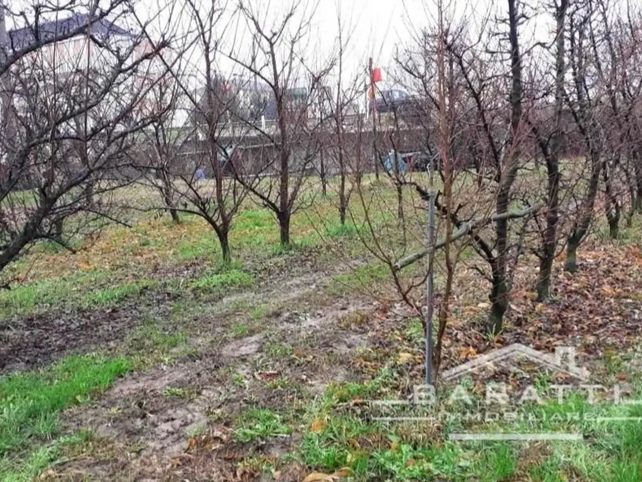 Azienda agricola in , San Benedetto Po, {3} - Foto 1