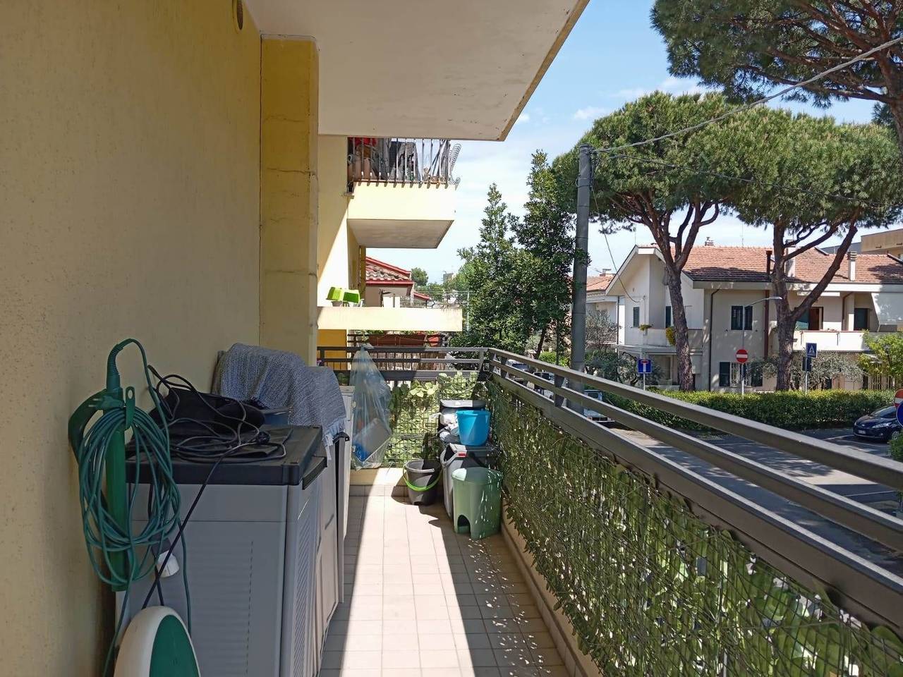 immagine annuncio 3 di 12