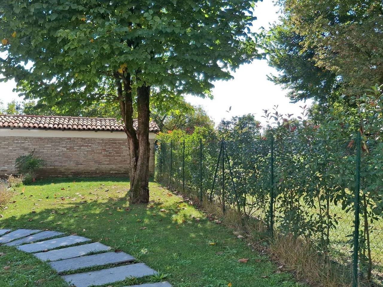 immagine annuncio 12 di 13