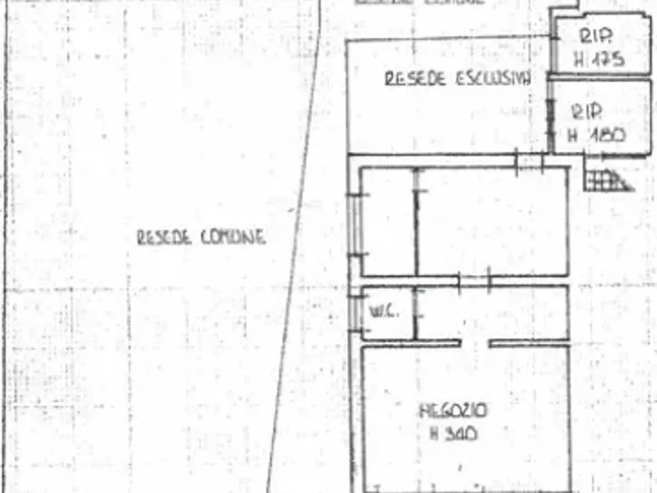 Negozio in Via Romana 160, Lucca, {3} - Planimetria 1