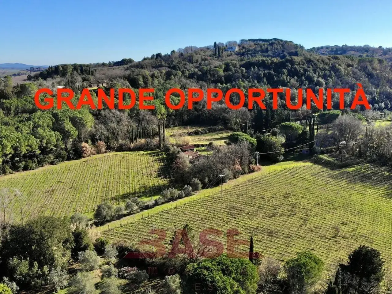 Azienda agricola in Strada Provinciale dei Tre Comuni, Montescudaio, {3} - Foto 1