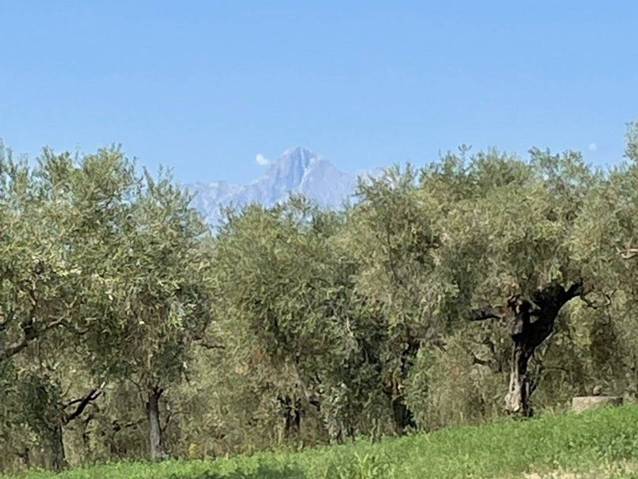 immagine annuncio 7 di 11