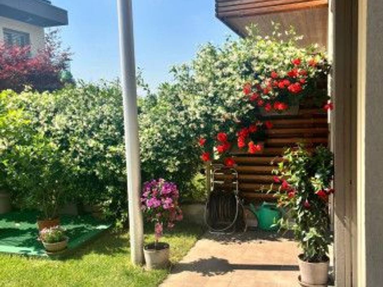 immagine annuncio 12 di 14