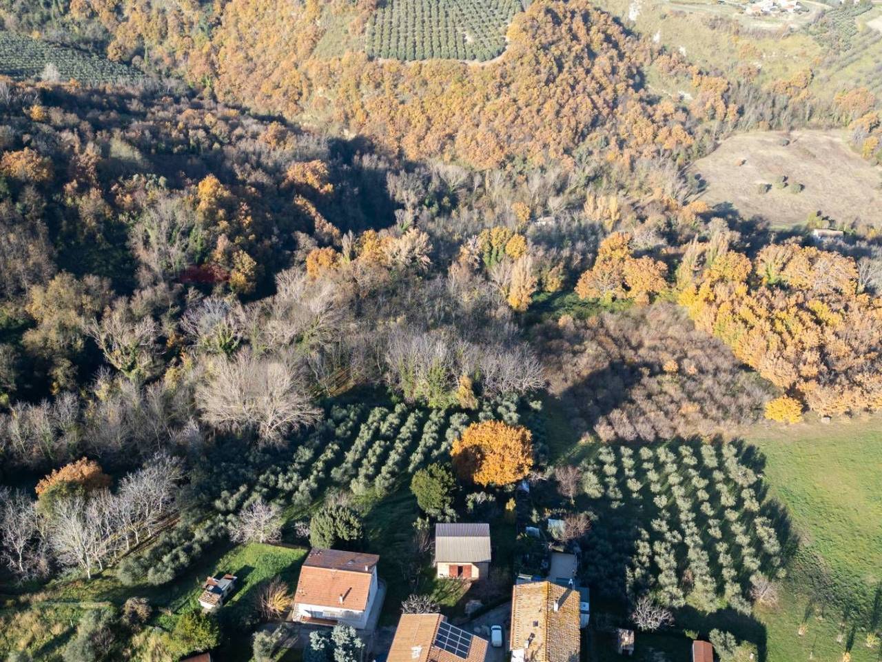 immagine annuncio 3 di 8