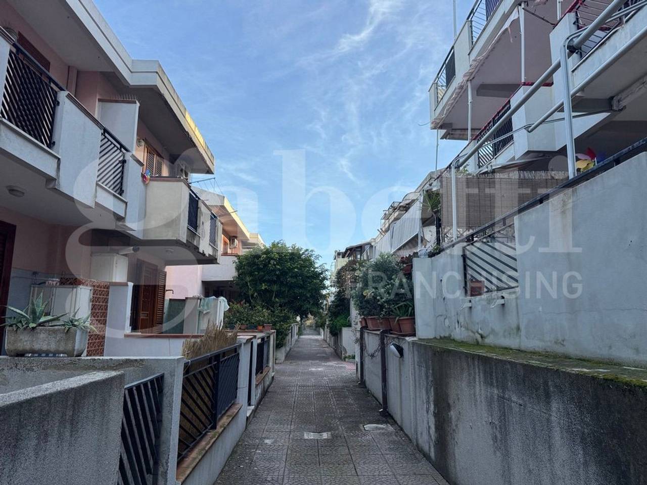 immagine annuncio 1 di 6