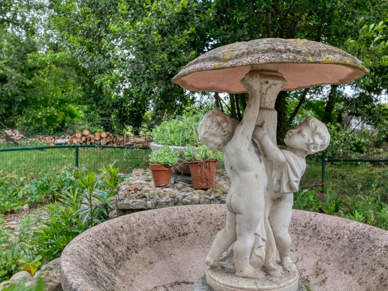 immagine annuncio 13 di 15