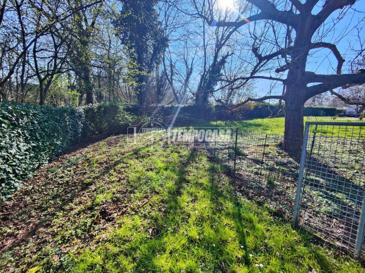 immagine annuncio 5 di 12