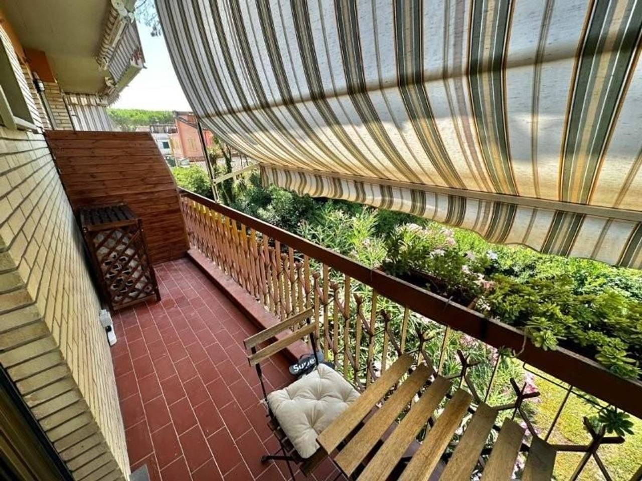 immagine annuncio 12 di 14