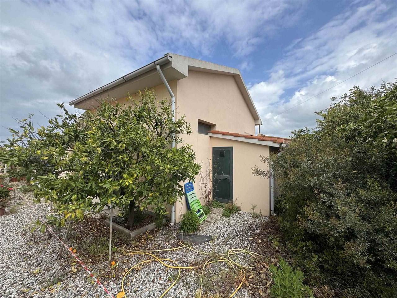 immagine annuncio 3 di 14