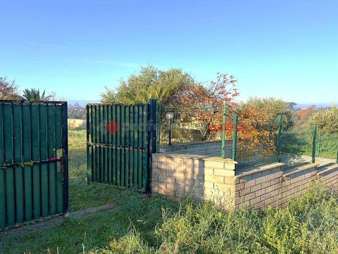 immagine annuncio 11 di 12