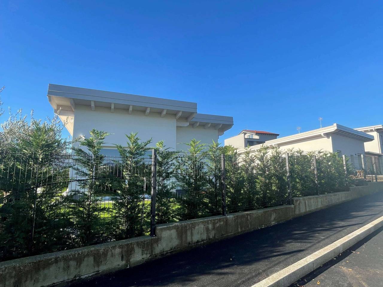 immagine annuncio 4 di 7