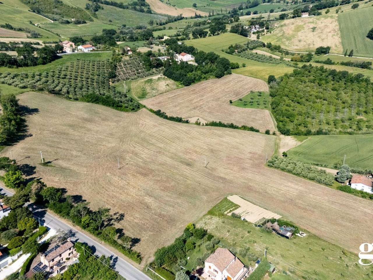 immagine annuncio 2 di 6