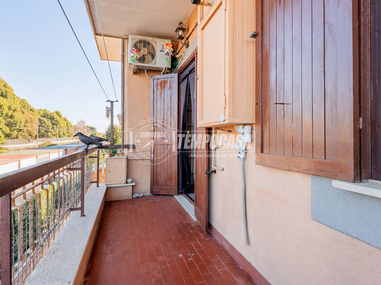 immagine annuncio 12 di 14