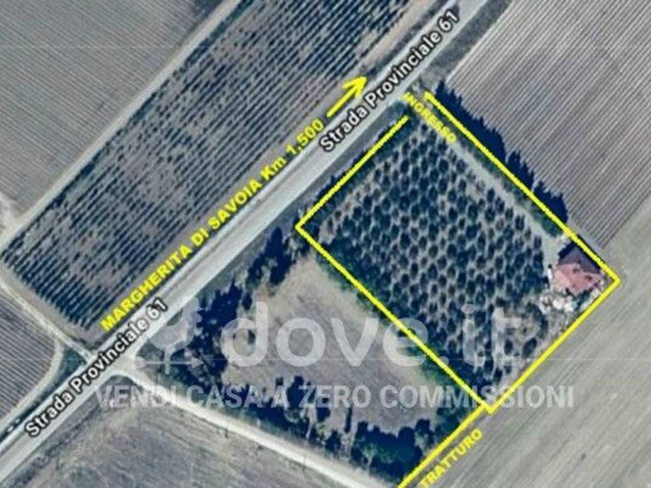 immagine annuncio 8 di 9