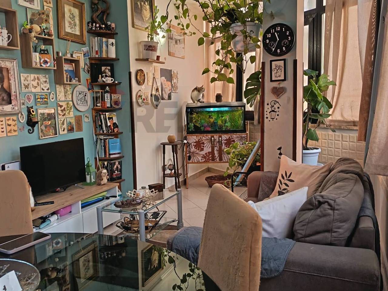 immagine annuncio 5 di 12