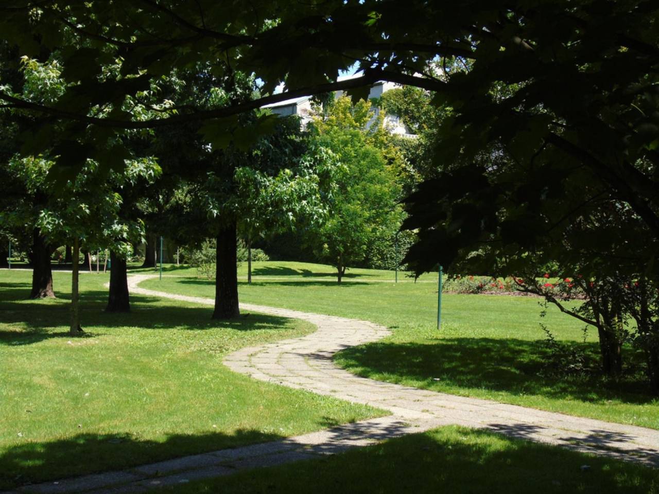 immagine annuncio 8 di 11