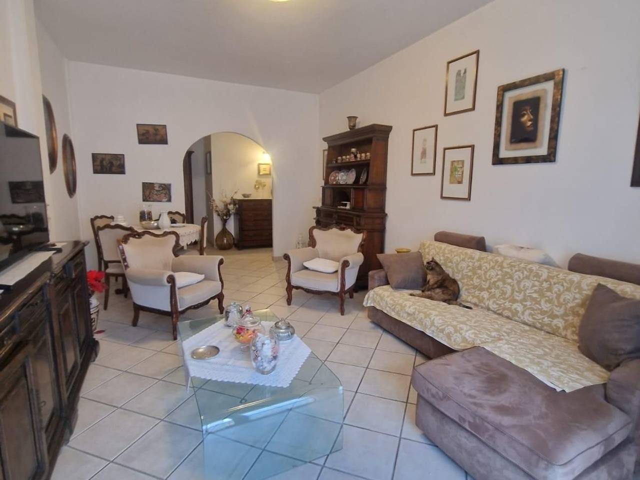 immagine annuncio 3 di 14