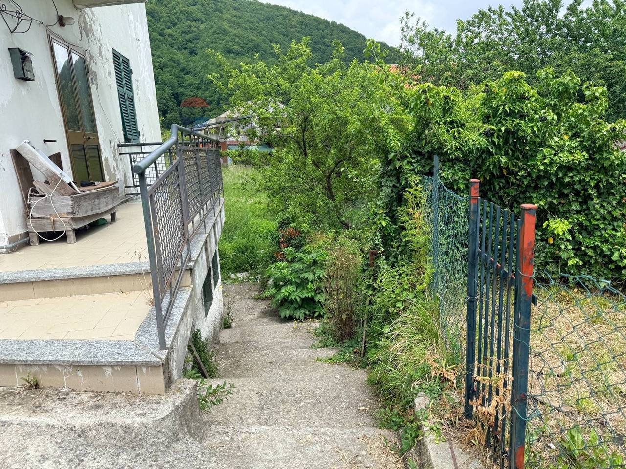 immagine annuncio 3 di 12