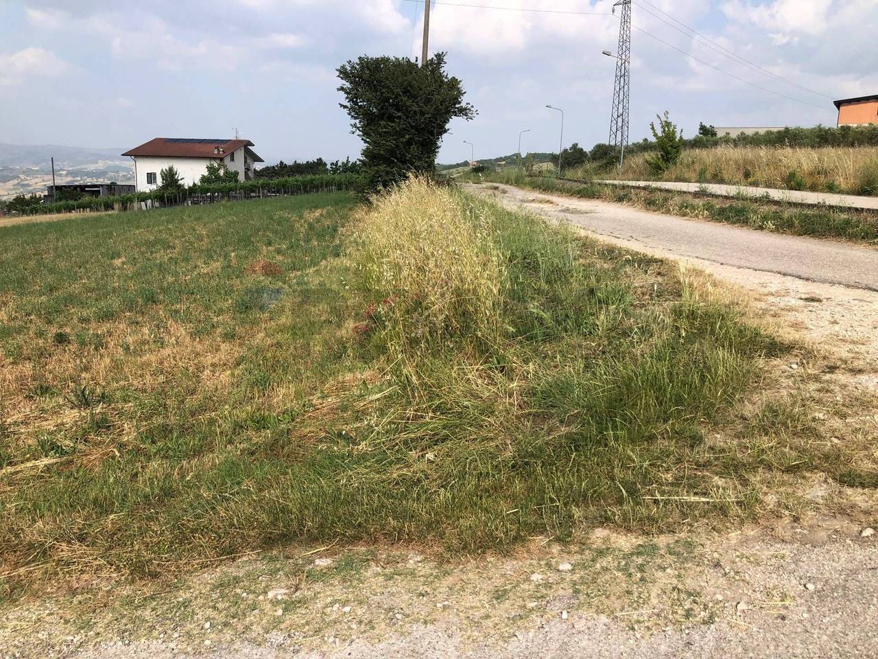 immagine annuncio 1 di 12