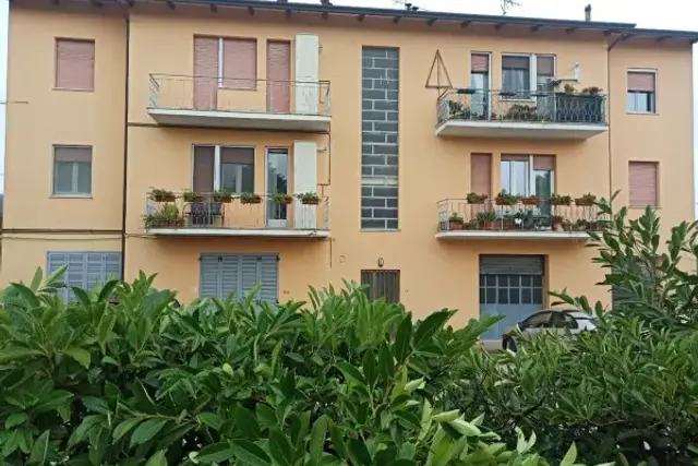insertion image